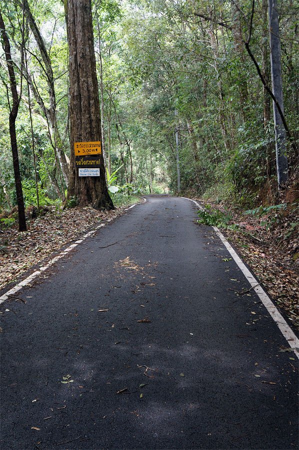 doi-su-thep-road.jpg