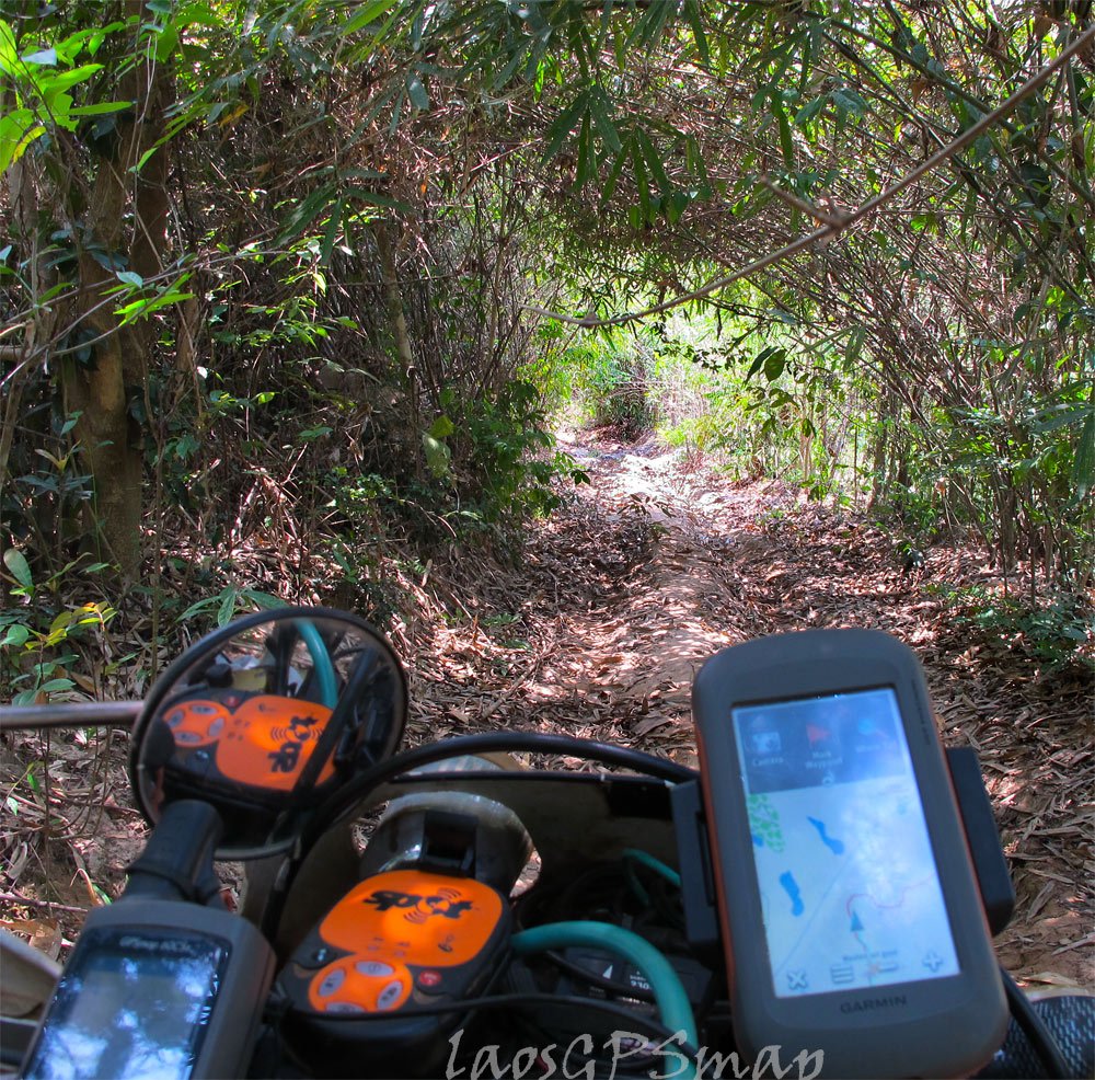 bamboo-tunnel.jpg bamboo-tunnel.jpg