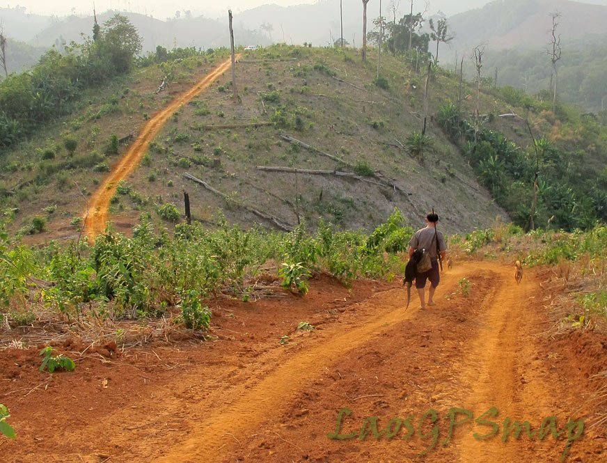 long-road.jpg long-road.jpg