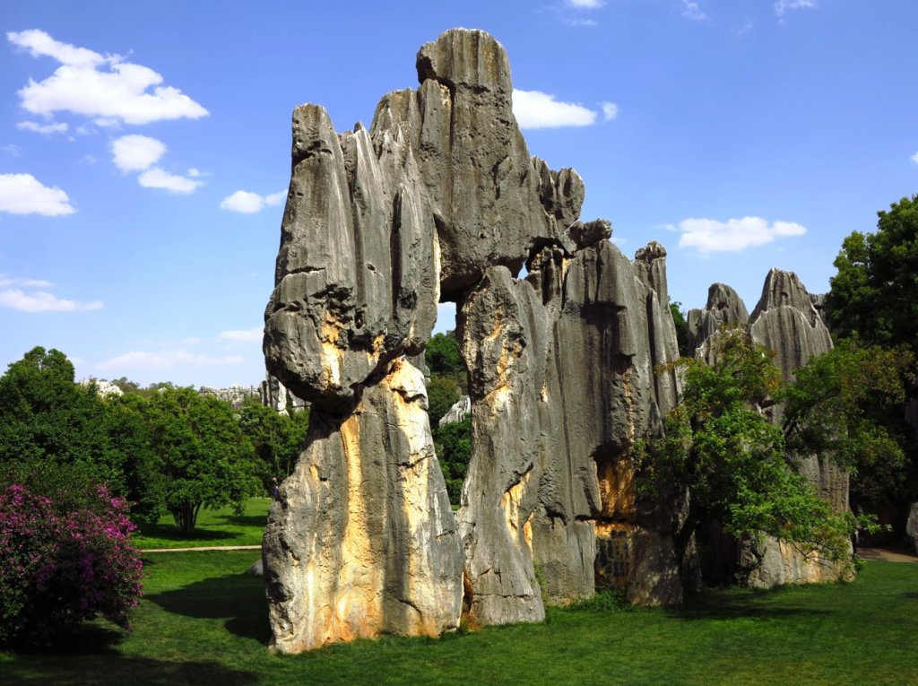 stone forest.jpg