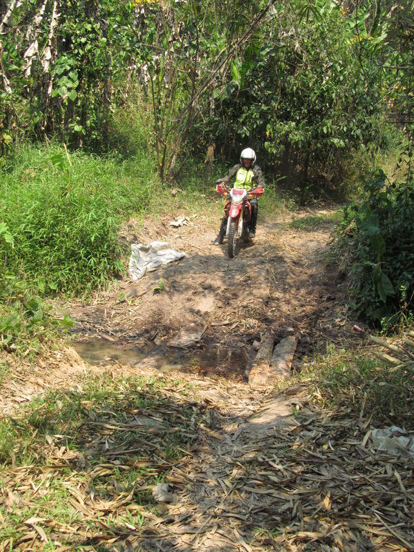 IMG_9782.jpg IMG_9782.jpg