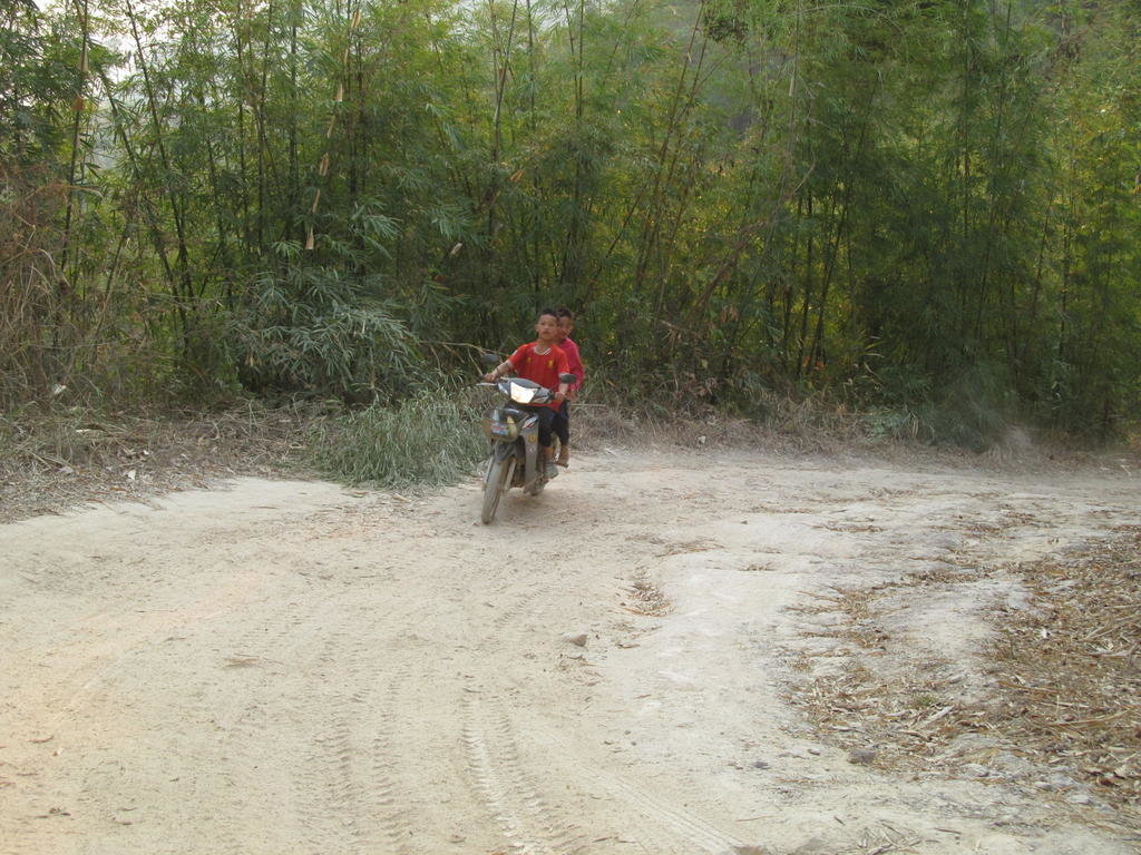 IMG_9799.jpg IMG_9799.jpg