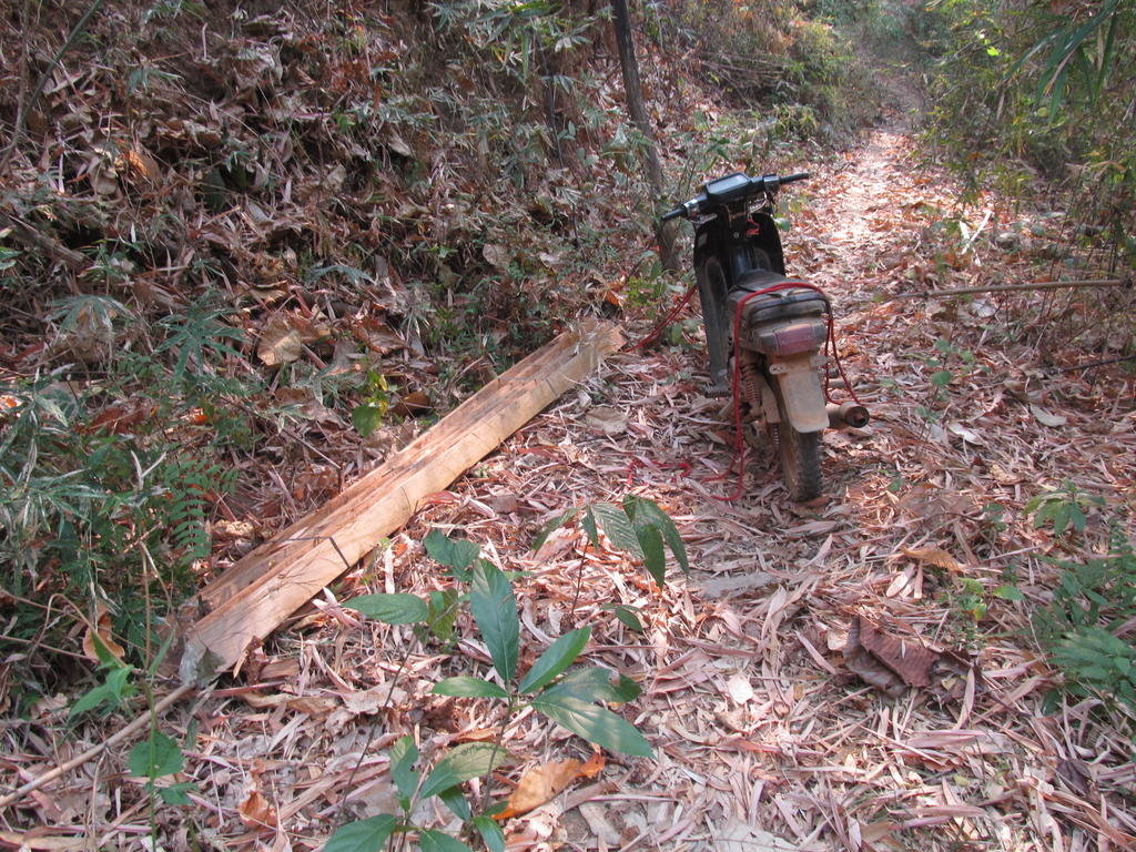 IMG_9842.jpg IMG_9842.jpg