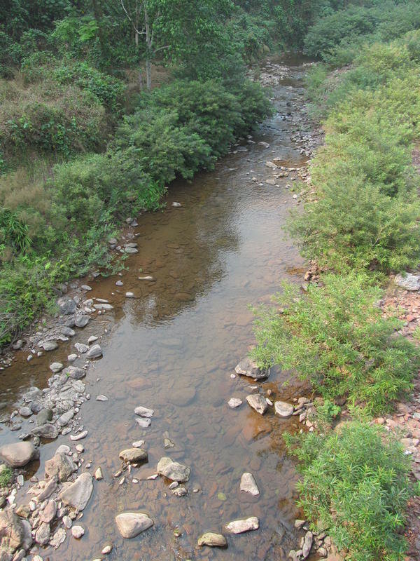 IMG_9893.jpg IMG_9893.jpg