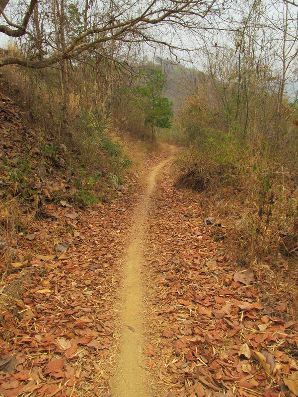 IMG_9904.jpg IMG_9904.jpg