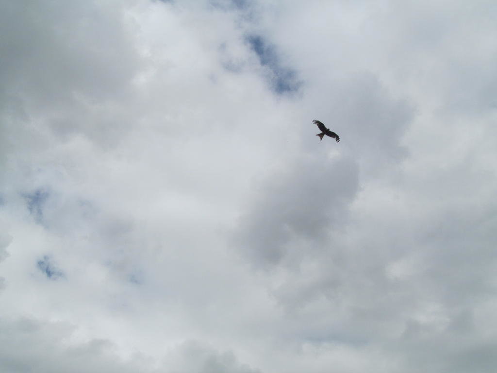IMG_0360.jpg IMG_0360.jpg