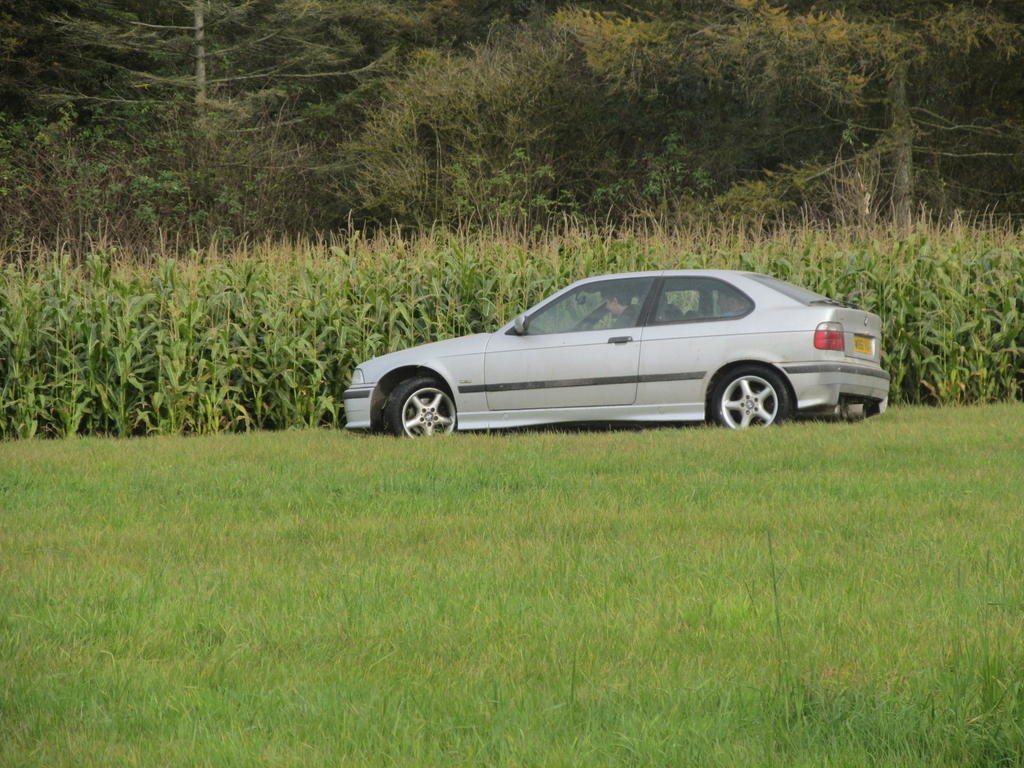 IMG_0437.jpg IMG_0437.jpg