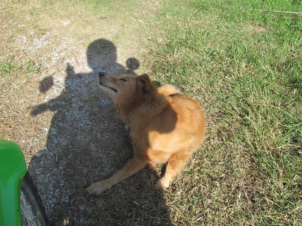 IMG_0501.jpg IMG_0501.jpg