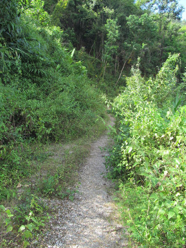 IMG_0707.jpg IMG_0707.jpg
