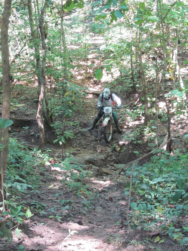 IMG_0781.jpg IMG_0781.jpg