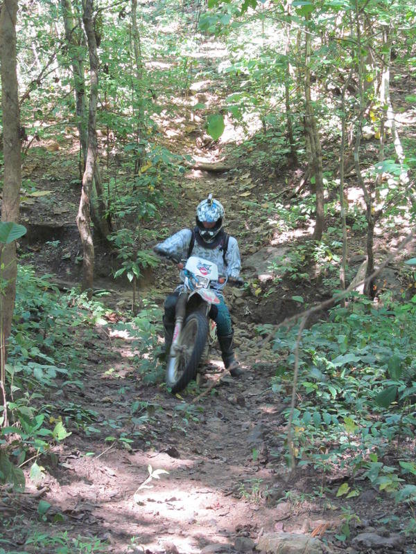 IMG_0782.jpg IMG_0782.jpg