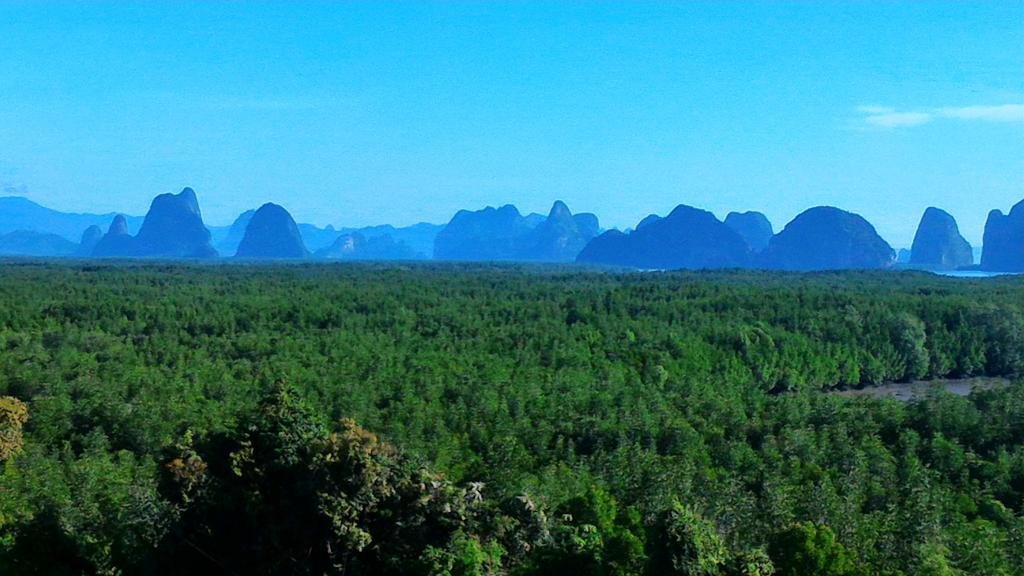 P_20151115_080552.jpg P_20151115_080552.jpg