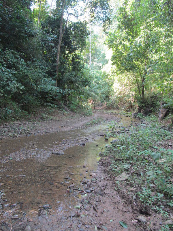 IMG_1009.jpg IMG_1009.jpg