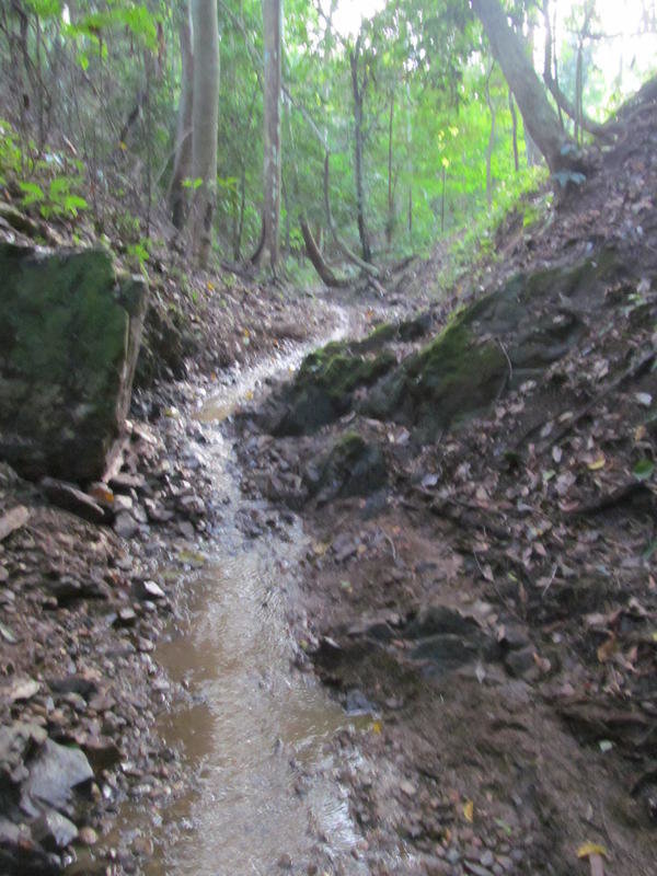 IMG_1013.jpg IMG_1013.jpg