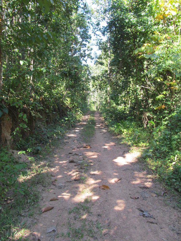 IMG_1085.jpg