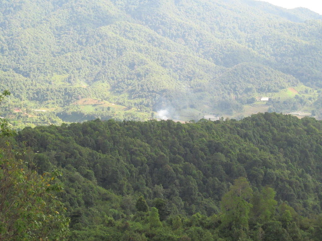 IMG_1160.jpg