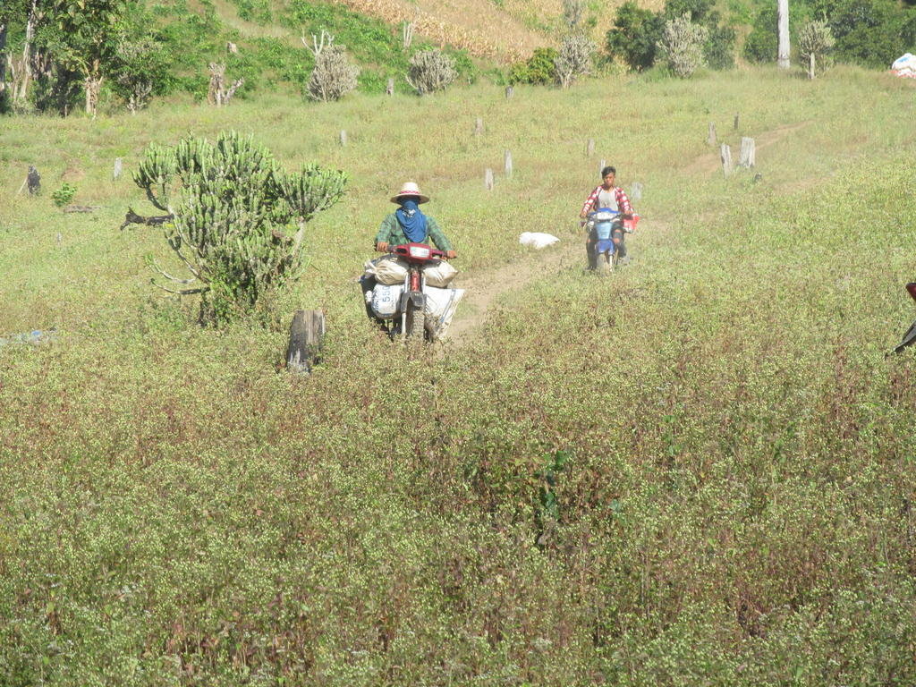 IMG_1227.jpg