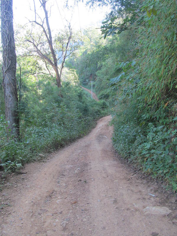 IMG_1248.jpg