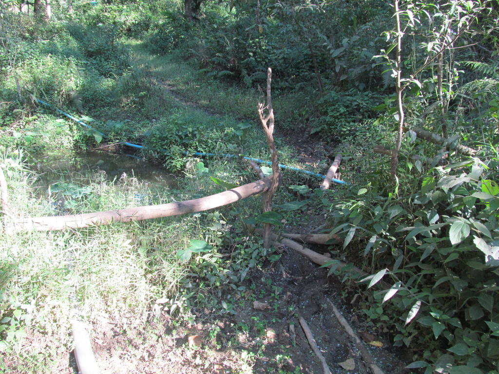 IMG_1316.jpg IMG_1316.jpg