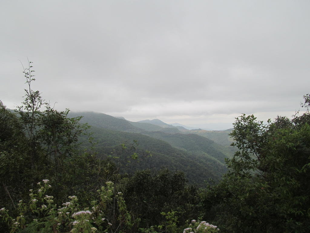 IMG_1416.jpg IMG_1416.jpg