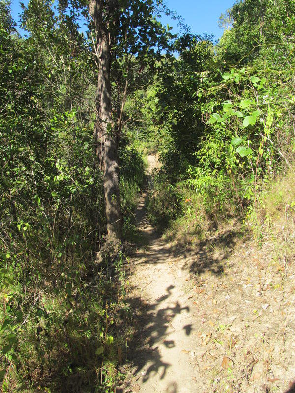 IMG_1623.jpg