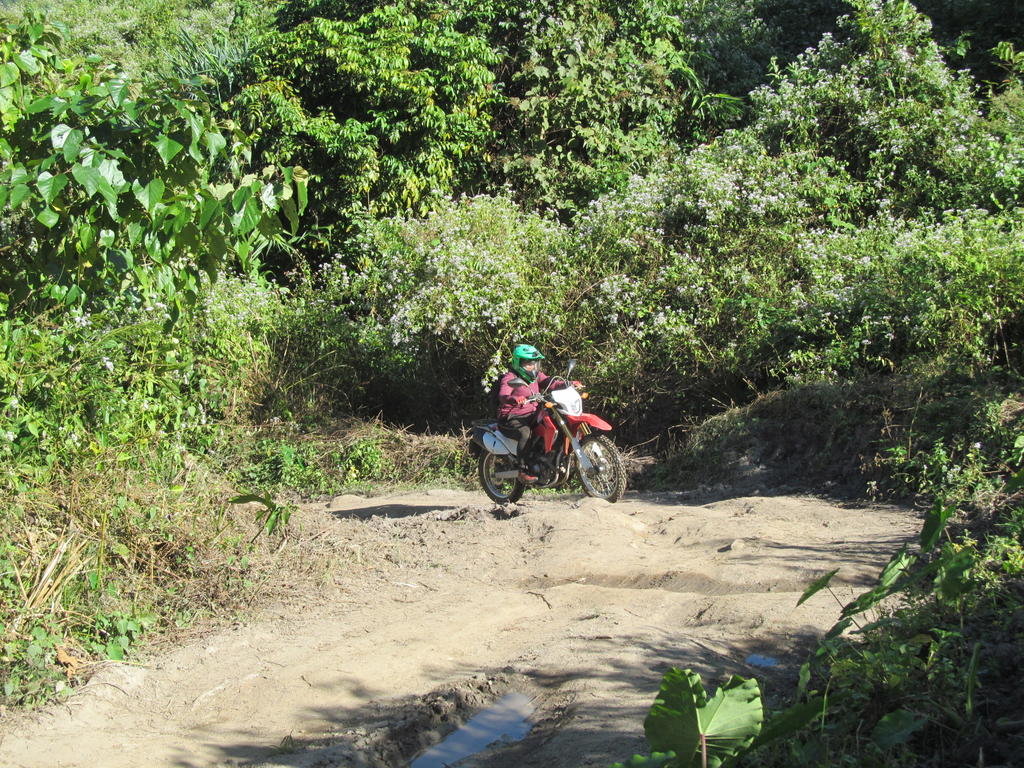 IMG_1726.jpg IMG_1726.jpg