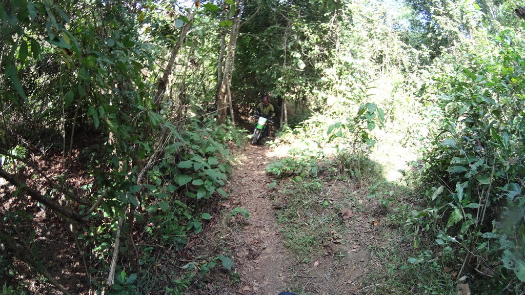 DSC01269.jpg
