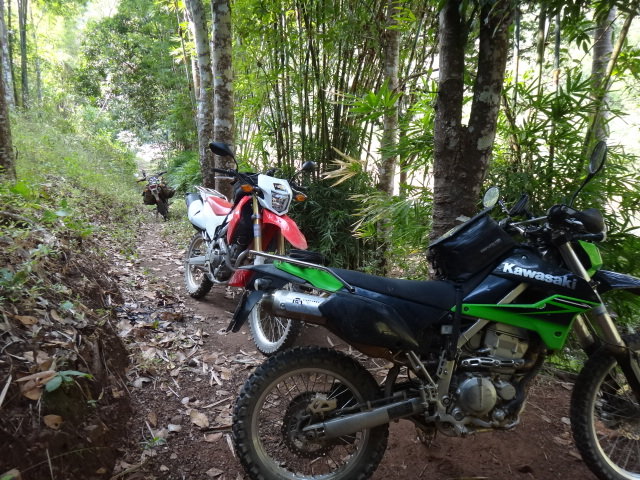 DSC07497.JPG