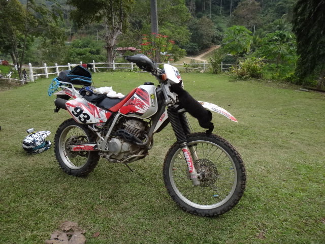 DSC07522.JPG