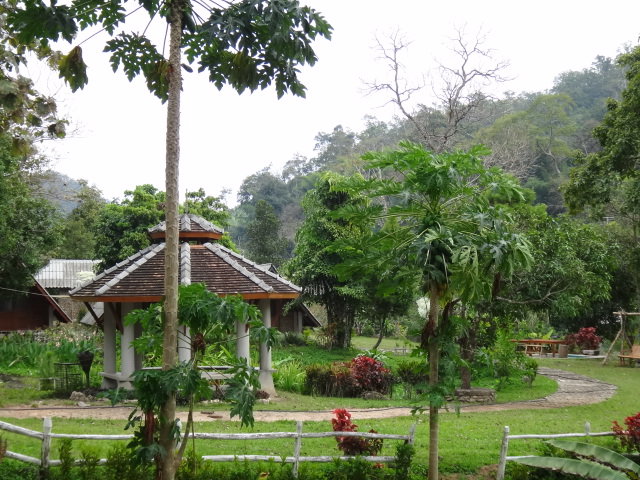 DSC07526.JPG