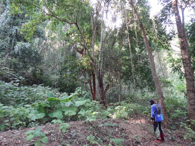 DSC07532.JPG