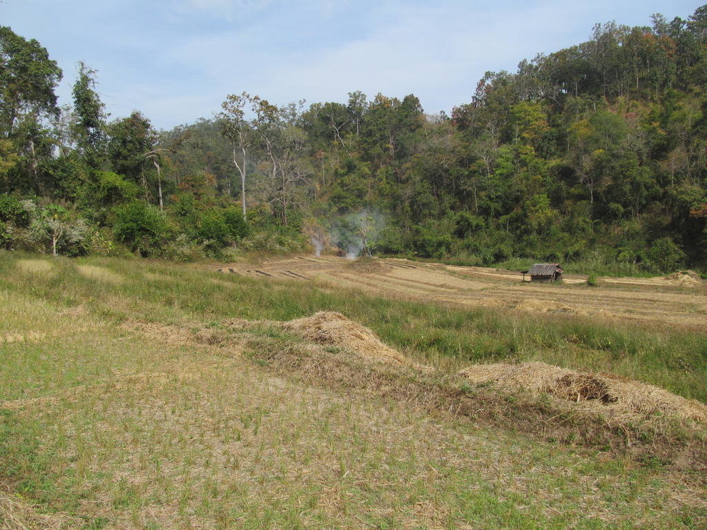 IMG_1961.jpg IMG_1961.jpg