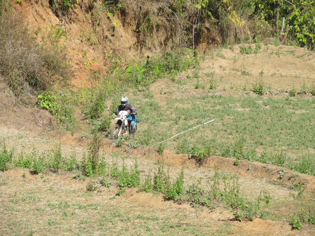 IMG_2798.jpg