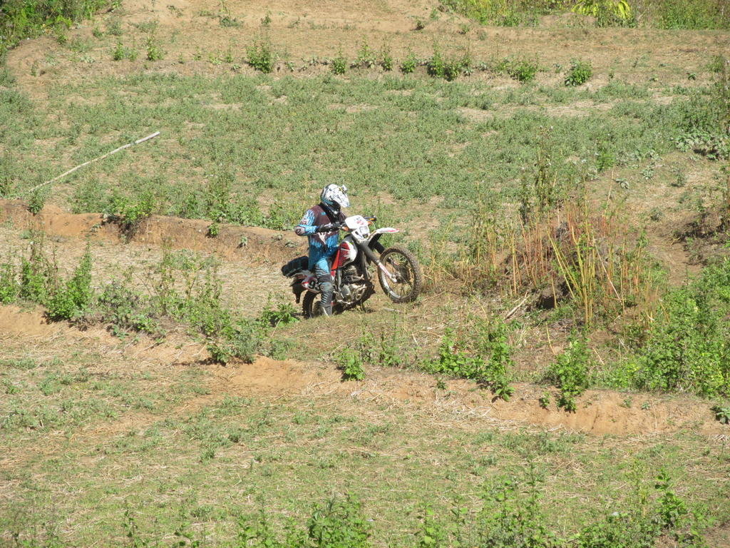 IMG_2799.jpg