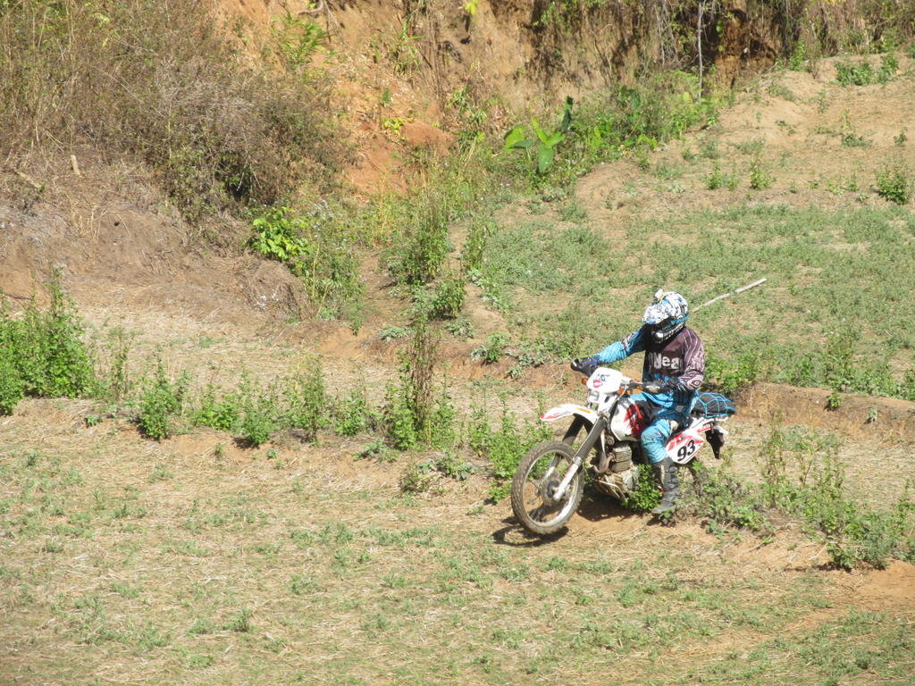 IMG_2800.jpg