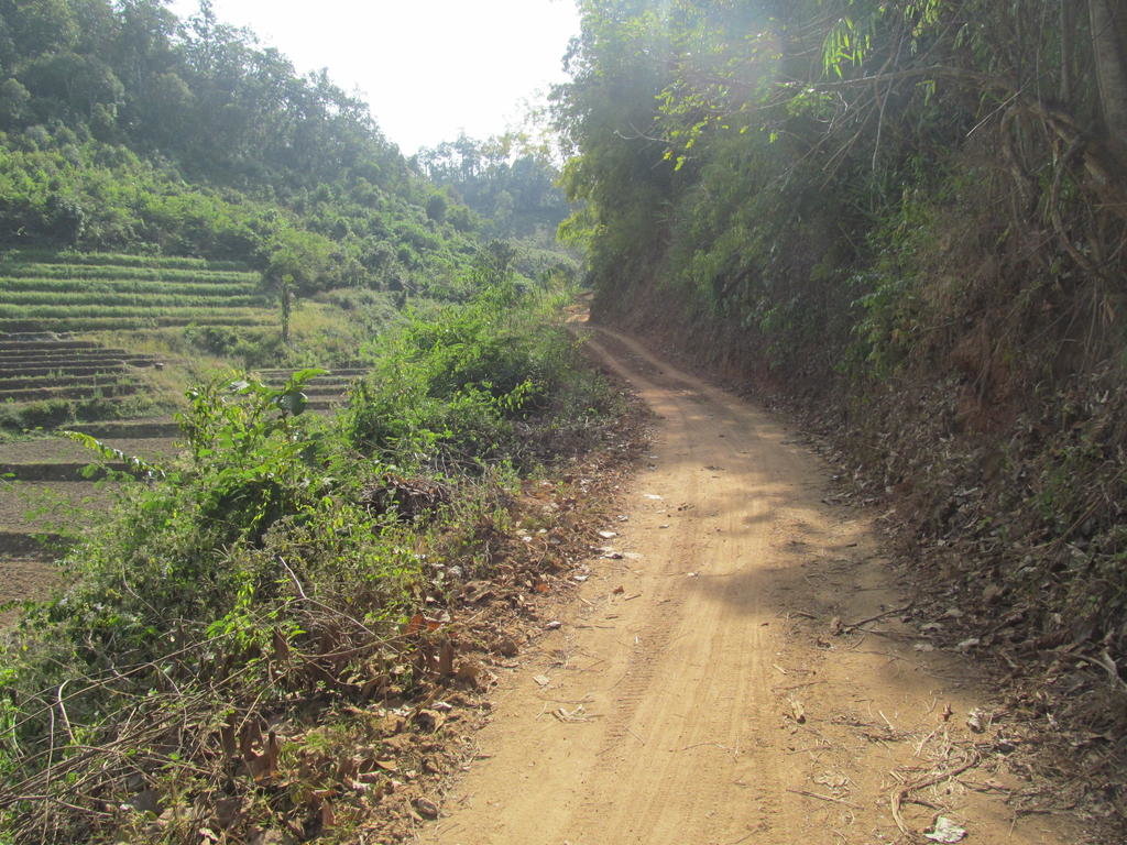 IMG_2805.jpg