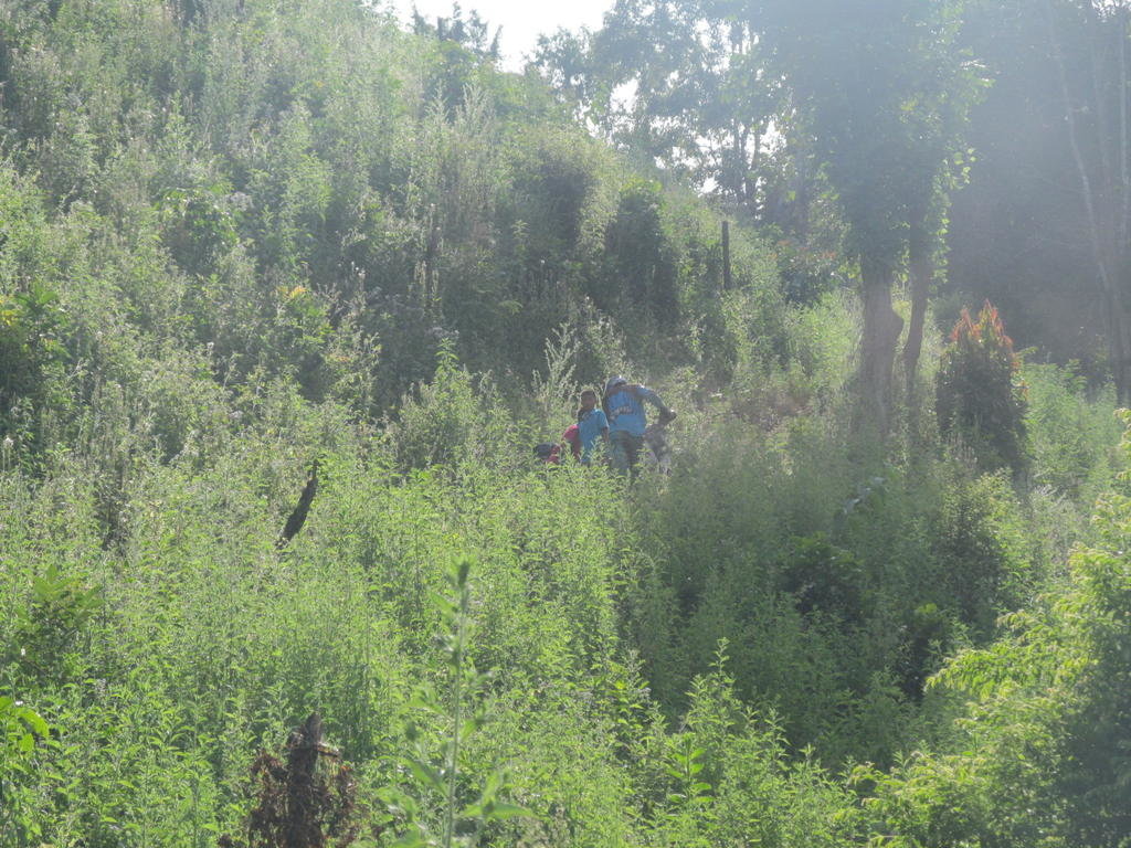 IMG_2815.jpg