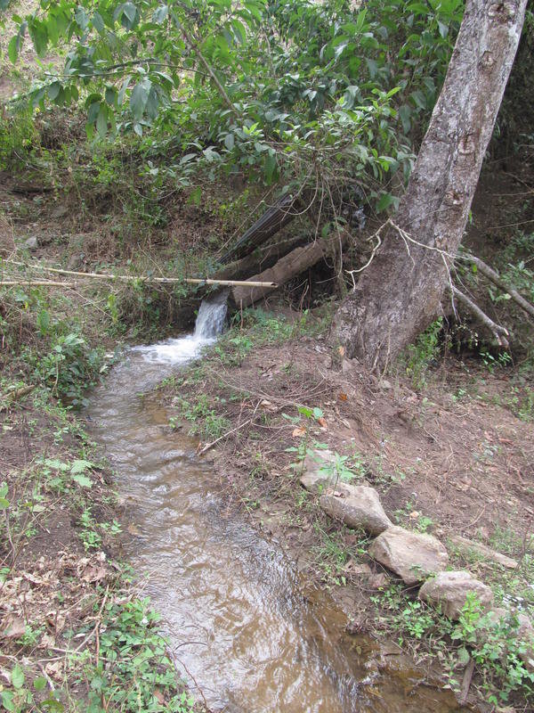 IMG_2894.jpg