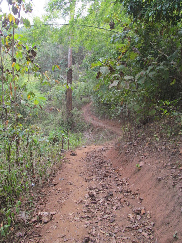 IMG_2898.jpg