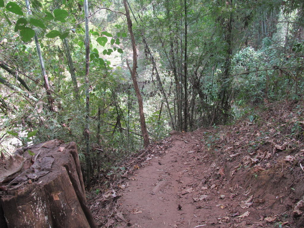 IMG_2900.jpg
