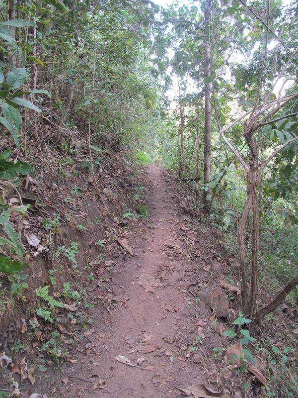 IMG_2902.jpg