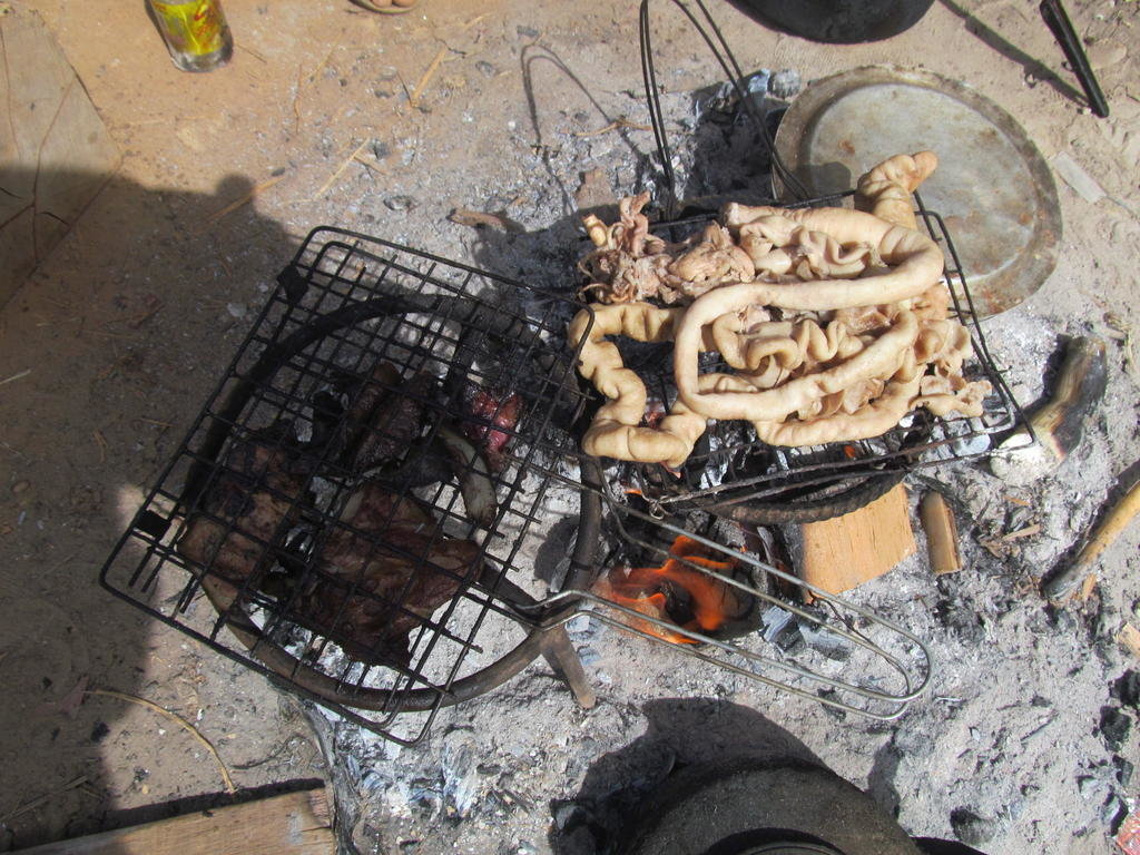 IMG_3009.jpg IMG_3009.jpg