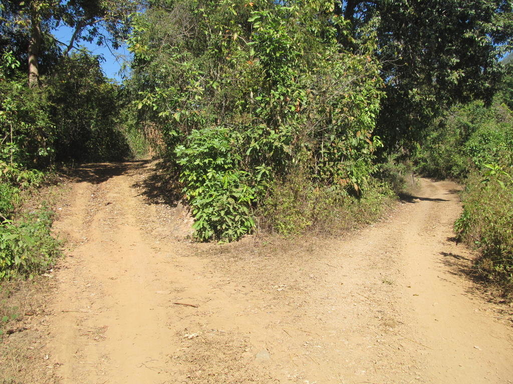 IMG_3097.jpg IMG_3097.jpg