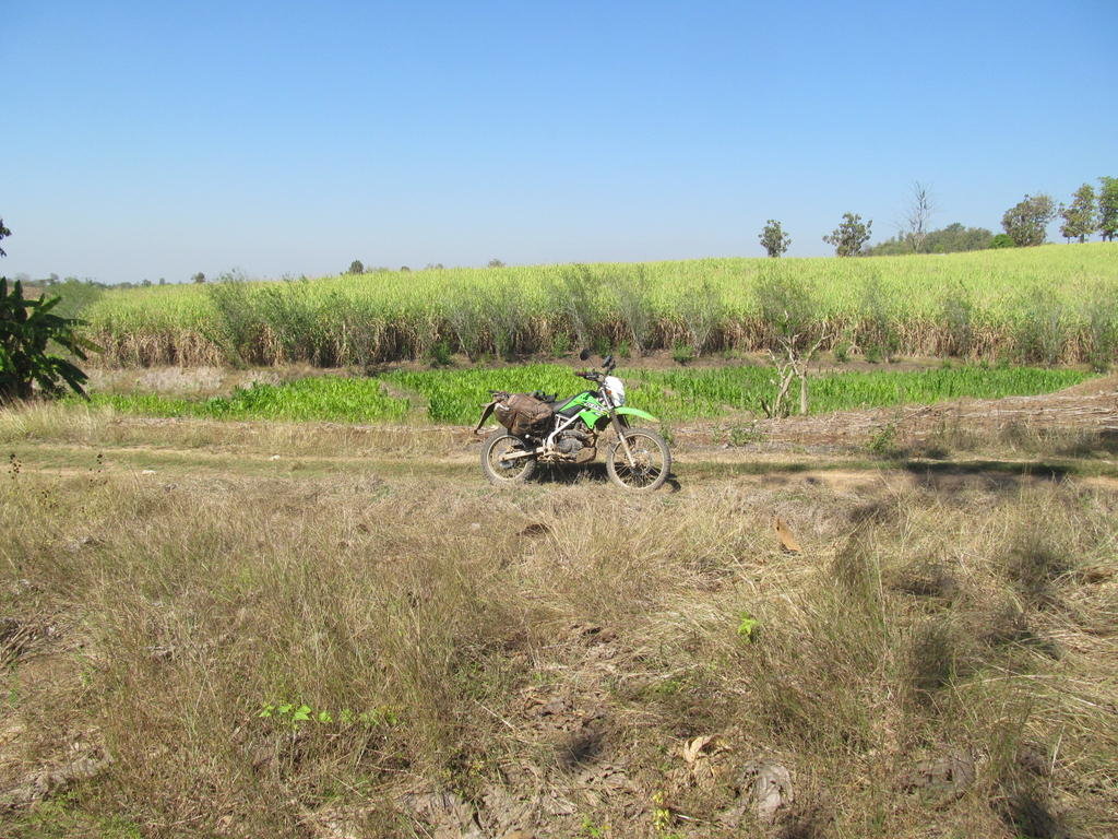 IMG_3593.jpg IMG_3593.jpg