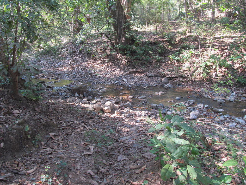 IMG_4062.jpg