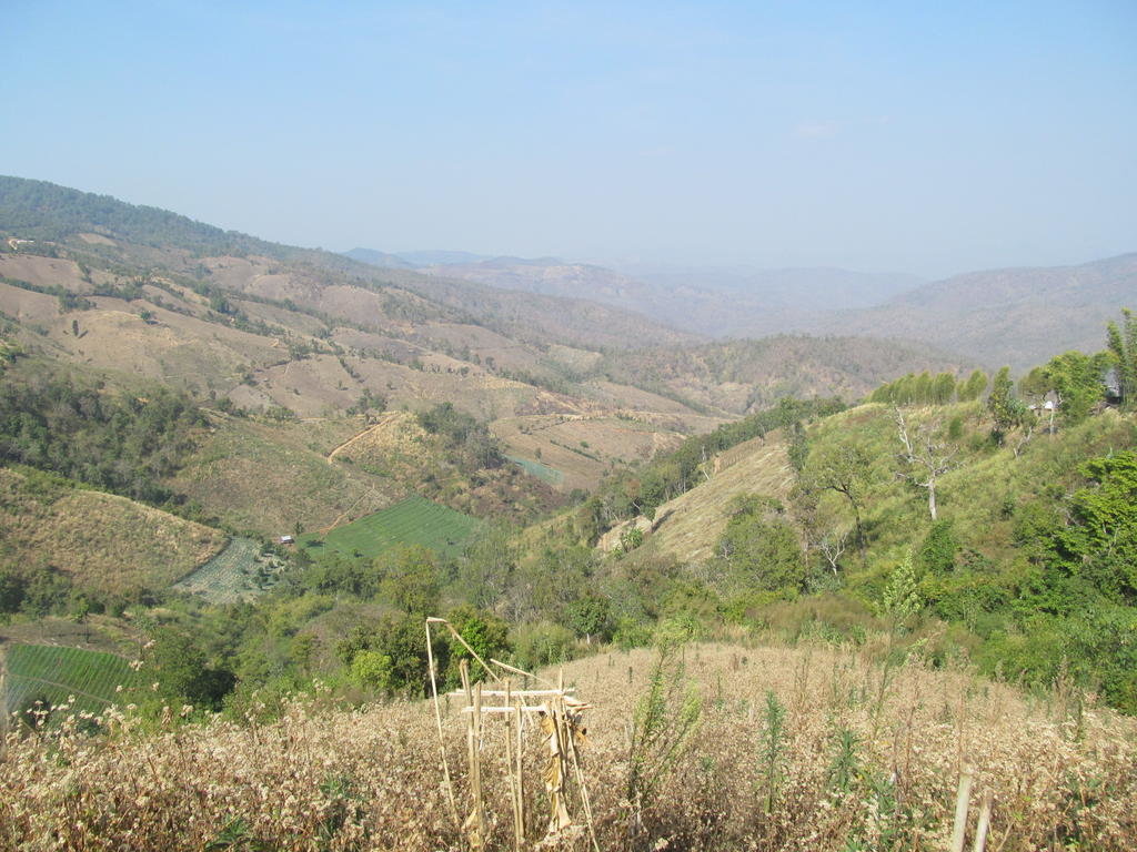 IMG_4146.jpg