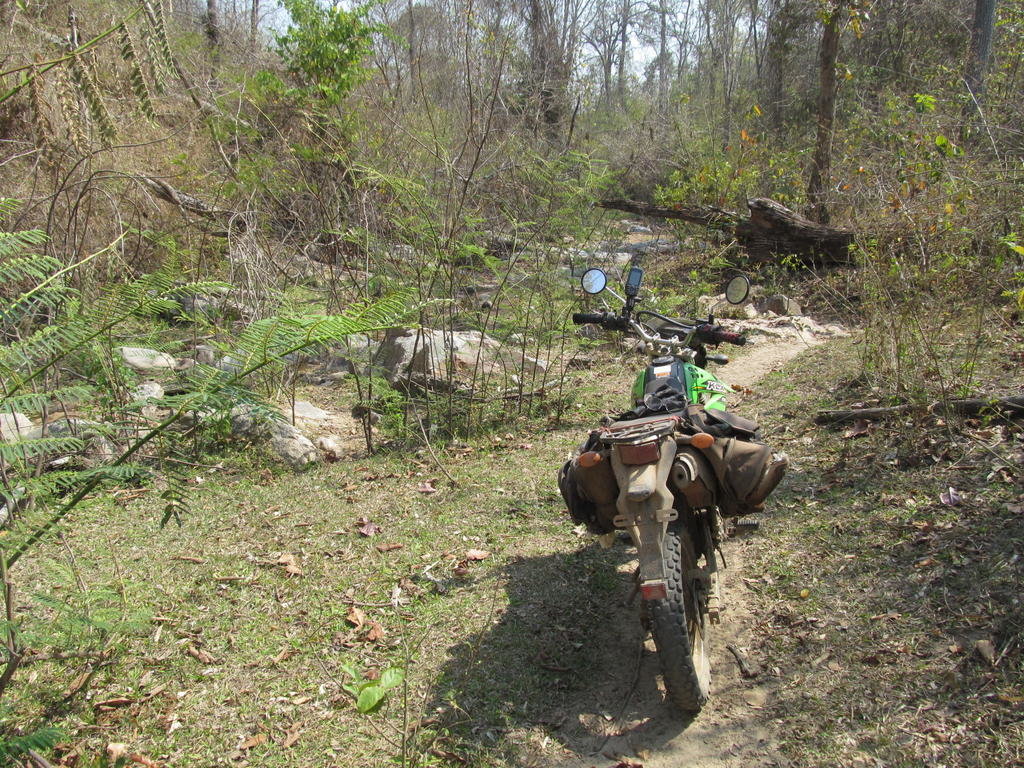 IMG_4166.jpg IMG_4166.jpg