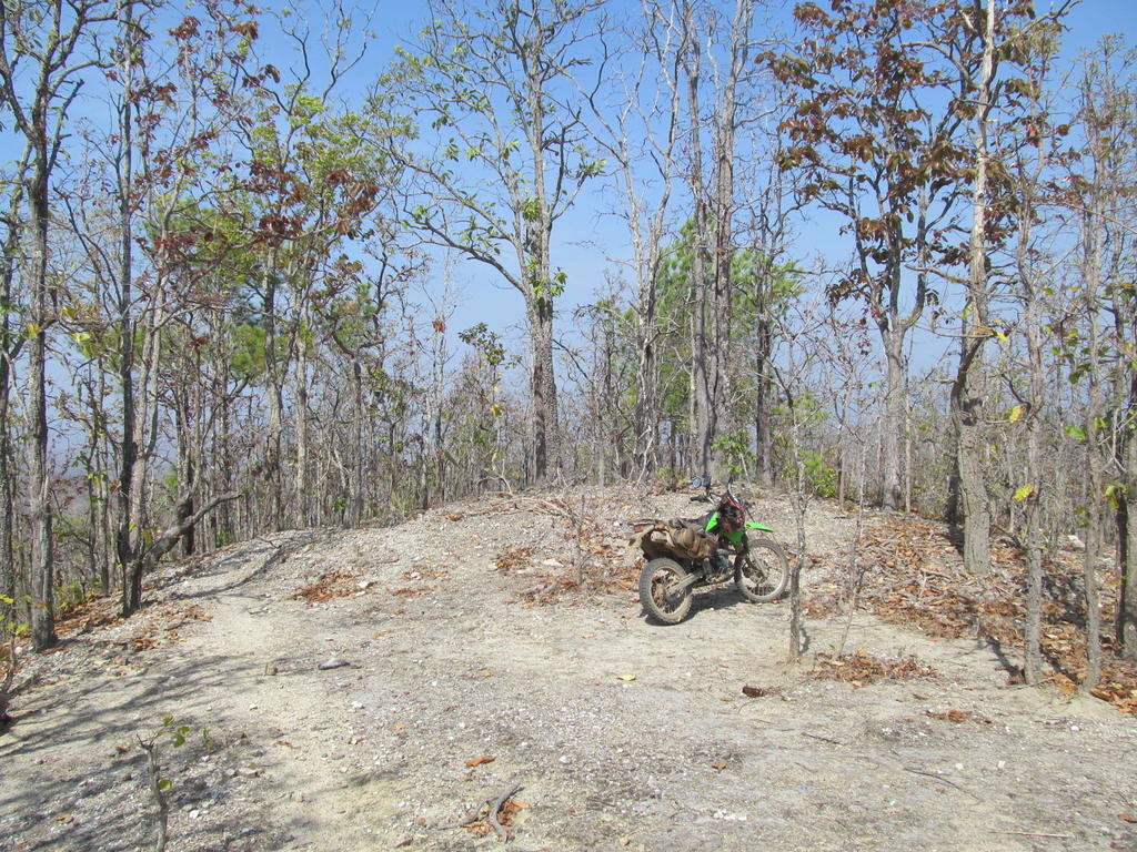 IMG_4331.jpg IMG_4331.jpg