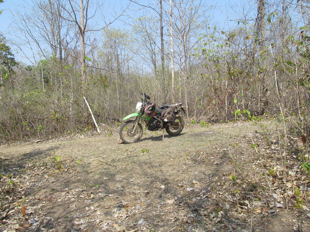 IMG_4362.jpg IMG_4362.jpg