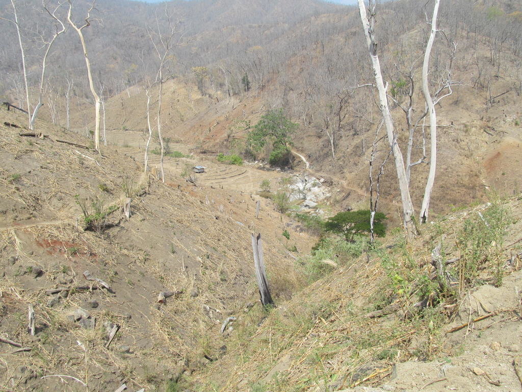 IMG_4421.jpg IMG_4421.jpg